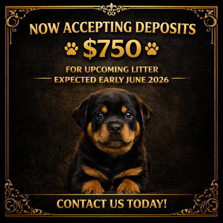 Expected Late May, Early June our upcoming litter